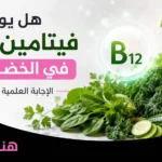 هل يوجد فيتامين B12 في الخضروات؟ الإجابة العلمية الكاملة